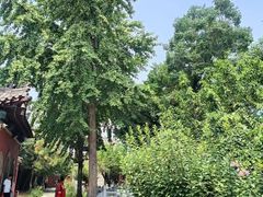 -泰山风景名胜区-虎山公园