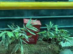 -湖南别院·美学庭院餐厅(惠阳店)