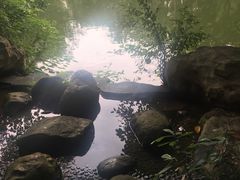 -人民公园(罗湖区)