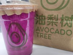 -油梨树AVOCADO TREE(望京店)