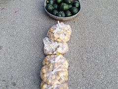 -长兴慧子土特产茶行