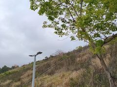 -白石龙音乐公园