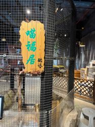 -酷嗒动物文化乐园(cutezoo西溪乐天城店)