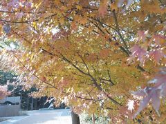 -同里国家湿地公园