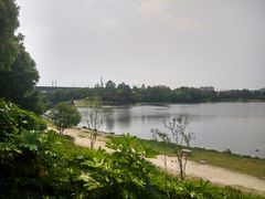 -美兰湖景区