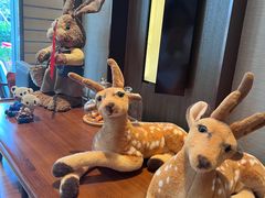 -嘉定凯悦·咖啡厅