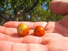 -北京西山国家森林公园