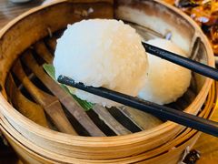 茨毛圆子-双塔老饭店