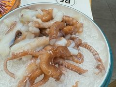 鲜活八爪鱼-椰子湾·海南火锅·糟粕醋·椰子鸡(正大广场店)