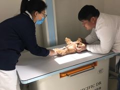 -萌兽医馆·绝育·24小时内科·宠物医院(德胜店)
