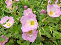 -贵阳市花溪国家城市湿地公园