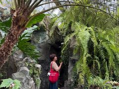 -国家植物园南园