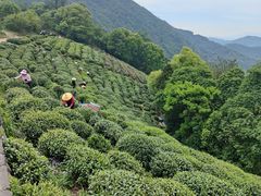 -西湖风景区十里琅珰-五云山