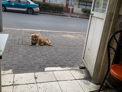 -鑫明明拉面(宁化路店)