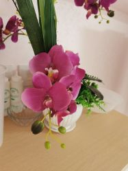 -薇兰专业脱毛连锁机构