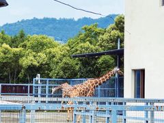 -上方山森林动物世界
