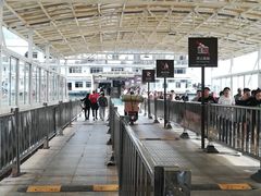 -武汉关码头(轮渡站)