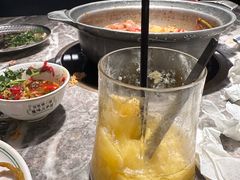 -禄婶鸡煲·打边炉
