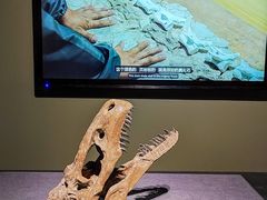-遇见博物馆(遇见海洋沉浸式奇幻光影展)