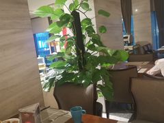 -宁波逸东豪生大酒店·豪生咖啡厅