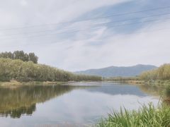 -亲兄弟真人CS团建拓展基地