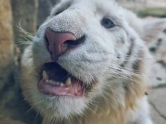 -杭州野生动物世界