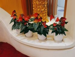 -天津伊美尔医疗整形美容专科医院