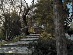 -团结湖公园