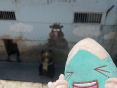 -青藏高原野生动物园