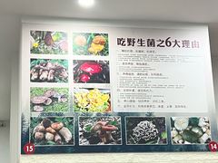 -江川野生菌火锅铜锅鱼(贵清火锅店)
