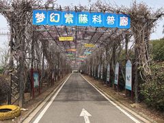 -武汉紫薇都市田园