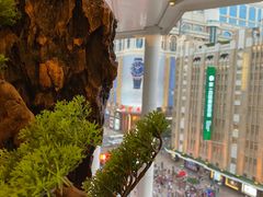 -江边城外烤全鱼(世茂广场店)