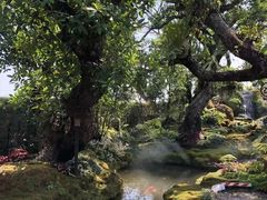 -Chom Cafe and Restaurant