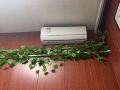 -国医整脊馆(武夷路店)