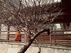 -达蓬山旅游度假区