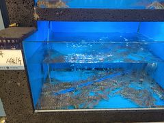 水产区-鲜味食族水产·海鲜餐厅