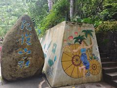 -西双版纳原始森林公园