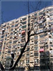 -金太子形象设计