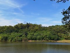 -火炉山森林公园