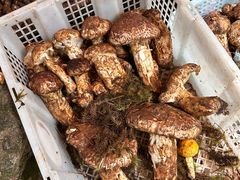 -喜洲杨记破酥粑粑