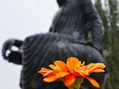 -拜城克孜尔千佛洞-售票处