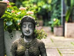 -谷咖啡·鲜花绿植花园餐厅