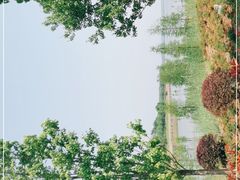 -南京枫彩漫城