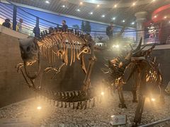 -国家自然博物馆