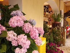 -萤火虫咖啡(后海店)