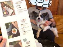 -the rug 飞毯 (朝阳公园店)