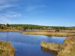 -塞罕坝国家级自然保护区