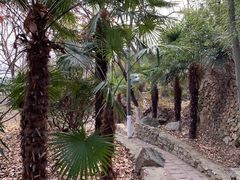 -石老人观光园