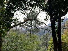-南山植物园