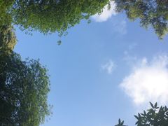 -近代中国十八先贤铜像广场(广州校区)